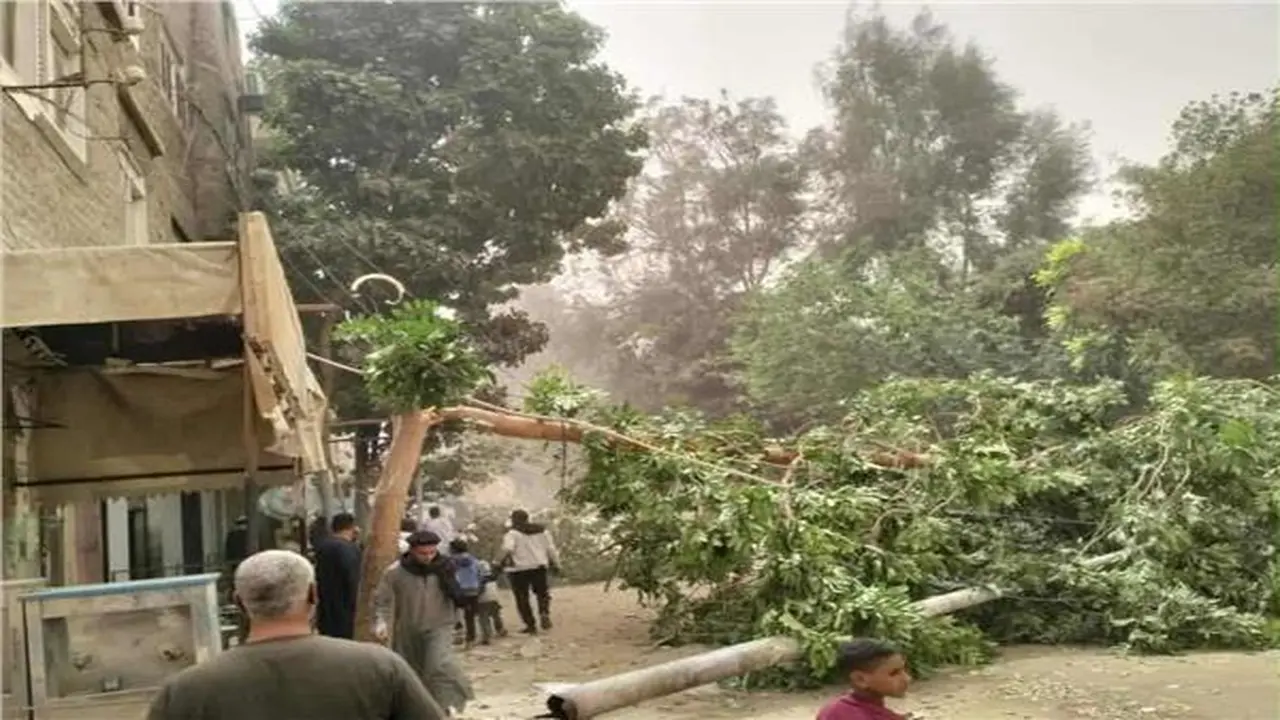 طقس سيئ يضرب قنا ويؤدي إلى غلق طريقين وسقوط أعمدة وأشجار